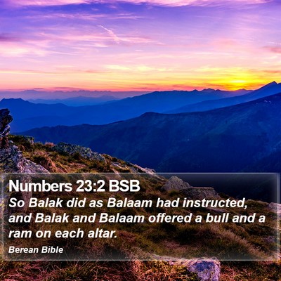 Numbers 23:2 BSB Bible Verse Image