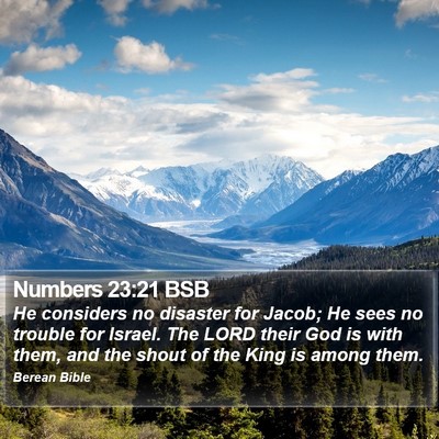 Numbers 23:21 BSB Bible Verse Image