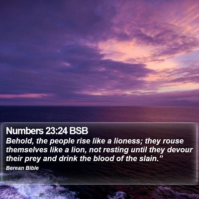 Numbers 23:24 BSB Bible Verse Image