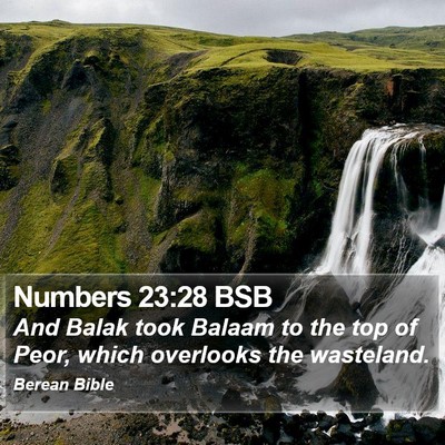 Numbers 23:28 BSB Bible Verse Image