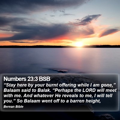 Numbers 23:3 BSB Bible Verse Image