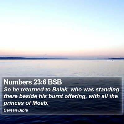 Numbers 23:6 BSB Bible Verse Image