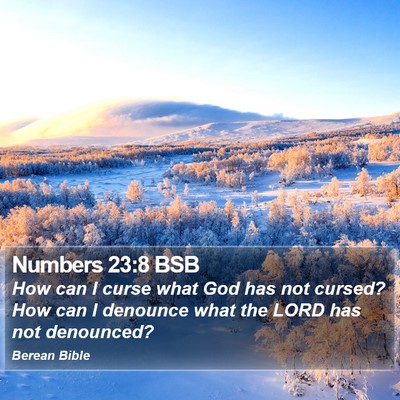 Numbers 23:8 BSB Bible Verse Image