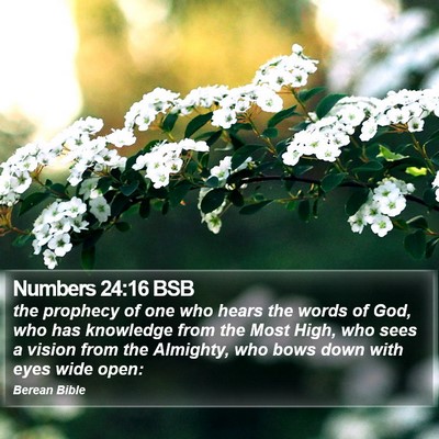 Numbers 24:16 BSB Bible Verse Image