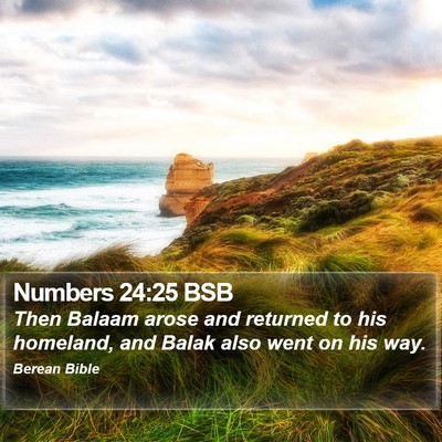 Numbers 24:25 BSB Bible Verse Image