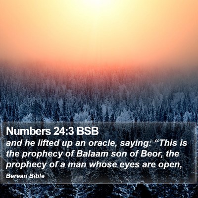 Numbers 24:3 BSB Bible Verse Image