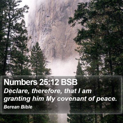 Numbers 25:12 BSB Bible Verse Image