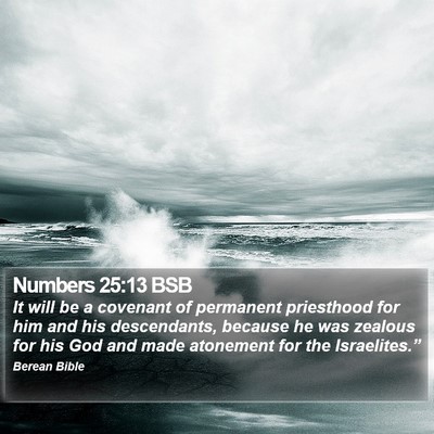 Numbers 25:13 BSB Bible Verse Image