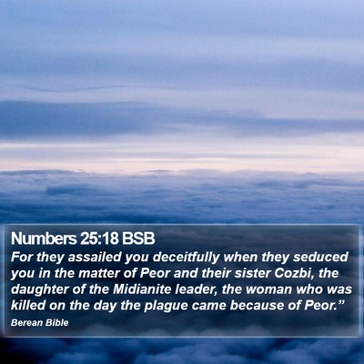 Numbers 25:18 BSB Bible Verse Image