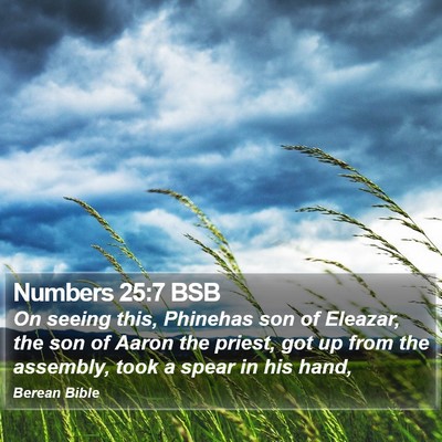 Numbers 25:7 BSB Bible Verse Image