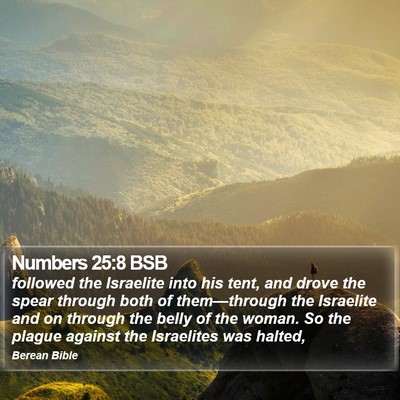 Numbers 25:8 BSB Bible Verse Image