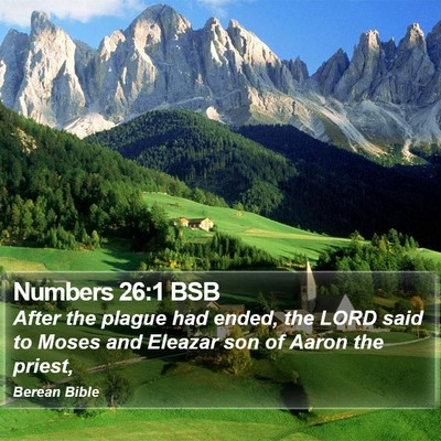 Numbers 26:1 BSB Bible Verse Image