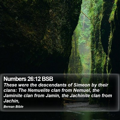 Numbers 26:12 BSB Bible Verse Image