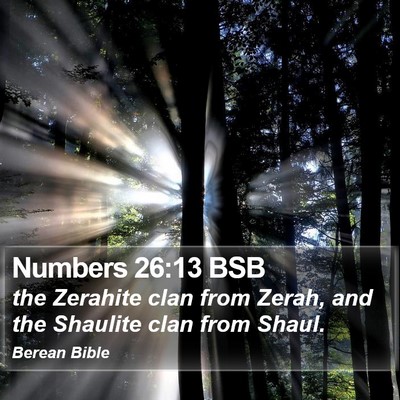 Numbers 26:13 BSB Bible Verse Image