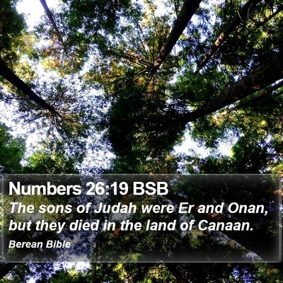 Numbers 26:19 BSB Bible Verse Image