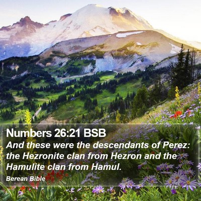 Numbers 26:21 BSB Bible Verse Image