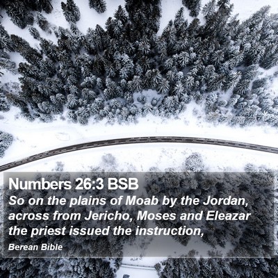Numbers 26:3 BSB Bible Verse Image