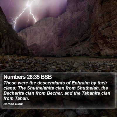 Numbers 26:35 BSB Bible Verse Image