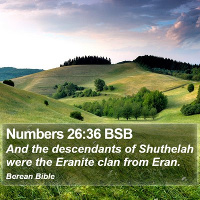 Numbers 26:36 BSB Bible Verse Image