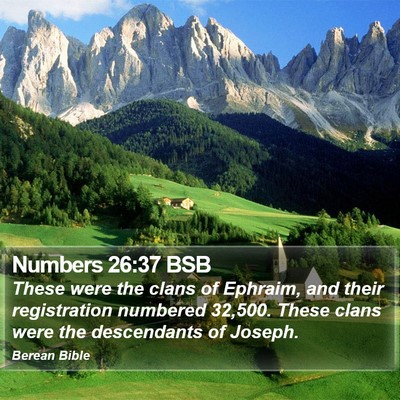 Numbers 26:37 BSB Bible Verse Image