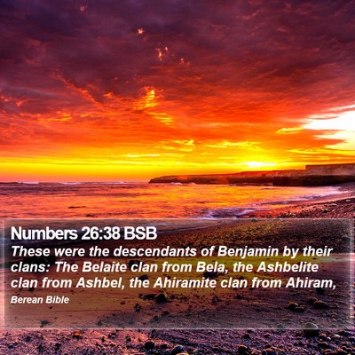 Numbers 26:38 BSB Bible Verse Image