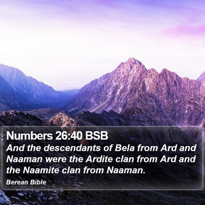 Numbers 26:40 BSB Bible Verse Image