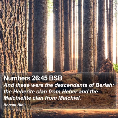 Numbers 26:45 BSB Bible Verse Image