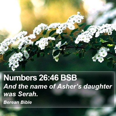 Numbers 26:46 BSB Bible Verse Image