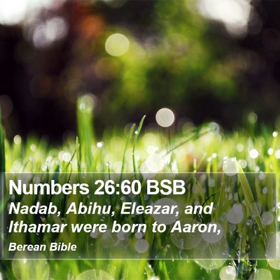 Numbers 26:60 BSB Bible Verse Image