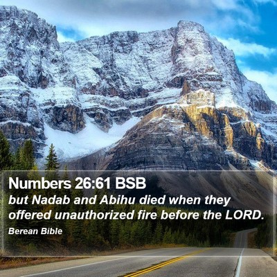 Numbers 26:61 BSB Bible Verse Image
