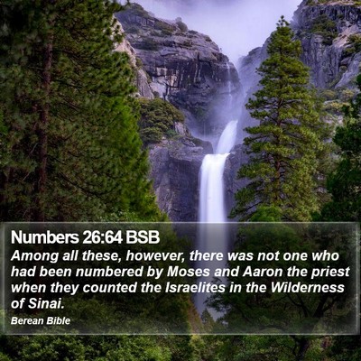 Numbers 26:64 BSB Bible Verse Image