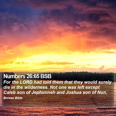 Numbers 26:65 BSB Bible Verse Image