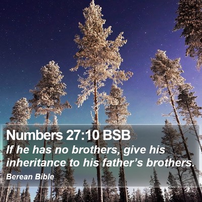 Numbers 27:10 BSB Bible Verse Image