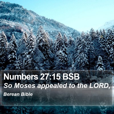 Numbers 27:15 BSB Bible Verse Image