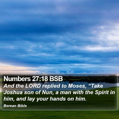 Numbers 27:18 BSB Bible Verse Image