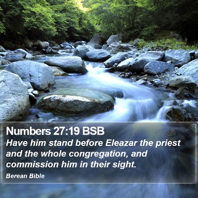 Numbers 27:19 BSB Bible Verse Image