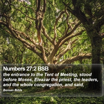 Numbers 27:2 BSB Bible Verse Image