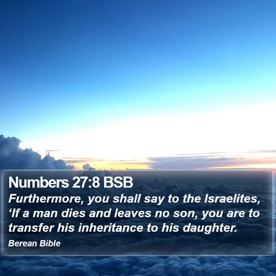 Numbers 27:8 BSB Bible Verse Image