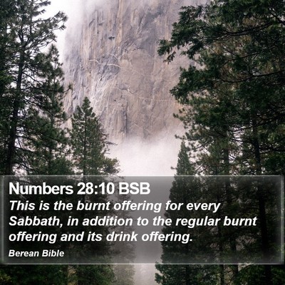 Numbers 28:10 BSB Bible Verse Image