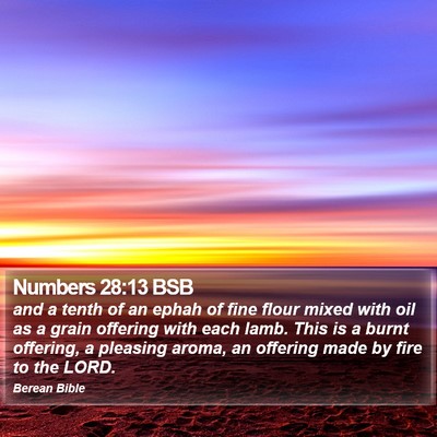 Numbers 28:13 BSB Bible Verse Image