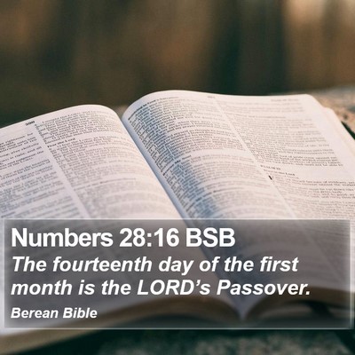 Numbers 28:16 BSB Bible Verse Image