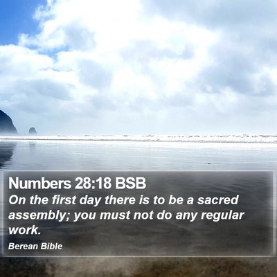 Numbers 28:18 BSB Bible Verse Image
