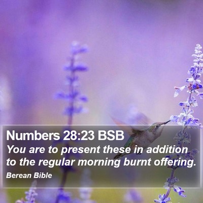 Numbers 28:23 BSB Bible Verse Image