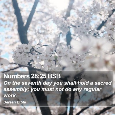 Numbers 28:25 BSB Bible Verse Image