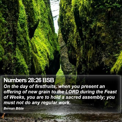 Numbers 28:26 BSB Bible Verse Image