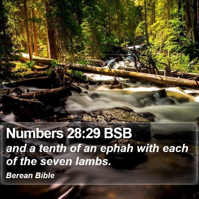 Numbers 28:29 BSB Bible Verse Image