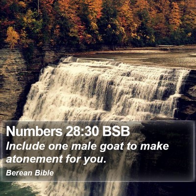 Numbers 28:30 BSB Bible Verse Image