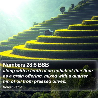 Numbers 28:5 BSB Bible Verse Image