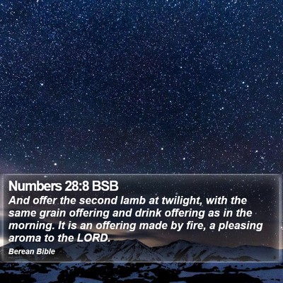 Numbers 28:8 BSB Bible Verse Image
