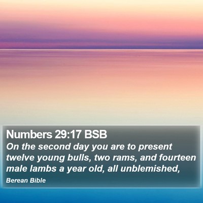 Numbers 29:17 BSB Bible Verse Image